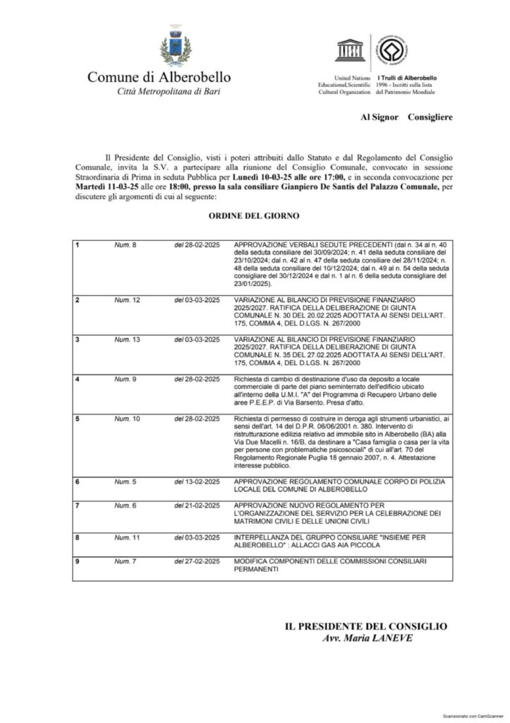 consiglio comunale 10 marzo
